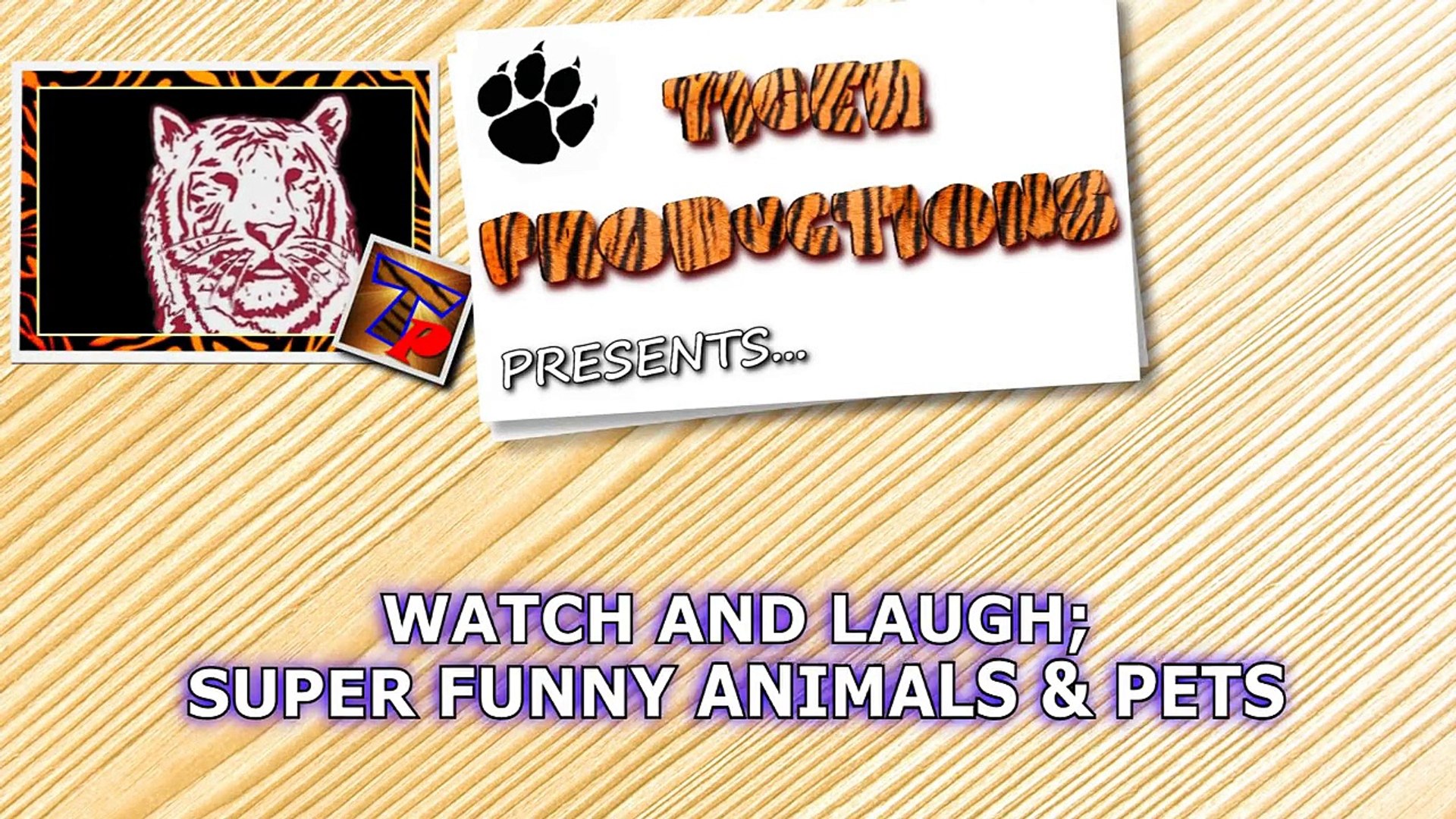 Watch & Laugh! Super funny animals and pets - Funny animal compilation