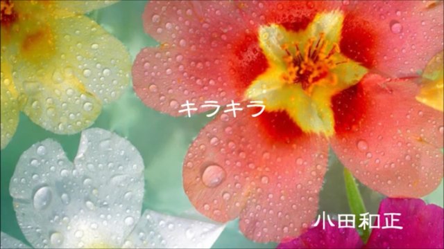 【J-pop 名曲オルゴール -7-】 「キラキラ」 小田和正 【J-pop famous music box music-7】 Glitter Kazumasa Oda