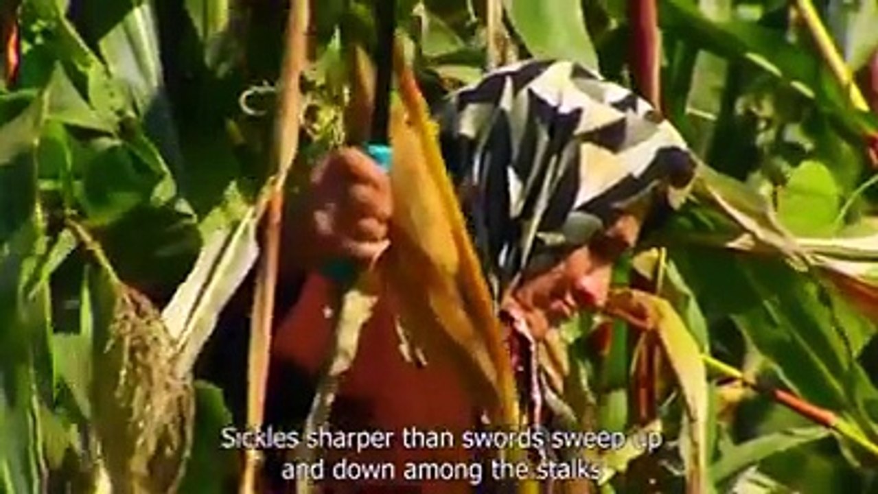 Karadeniz'de Yaşamın Zorlukları