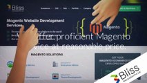 Magento web development services company - Bliss Web Solution