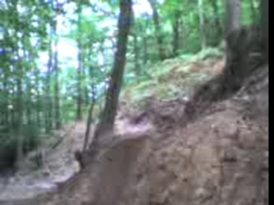 session dirt