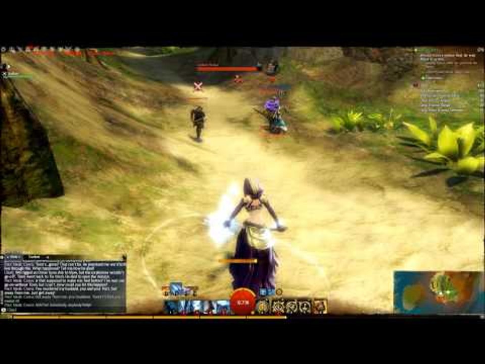 Guild Wars 2 Elementalist and Thief Duo 47