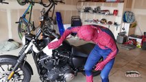 Spiderman vs Black Spiderman & Godzilla / T-Rex - Motorcycle Thief | Real Life Superhero Movie!