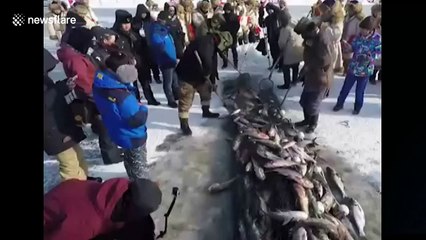 The winter harvest for Chinese fisherman is astonishing