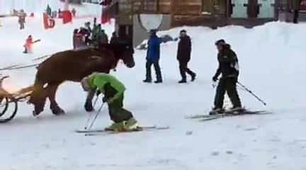 Adrénaline - Ski : Un lendemain de soirée pas évident pour ce skieur...