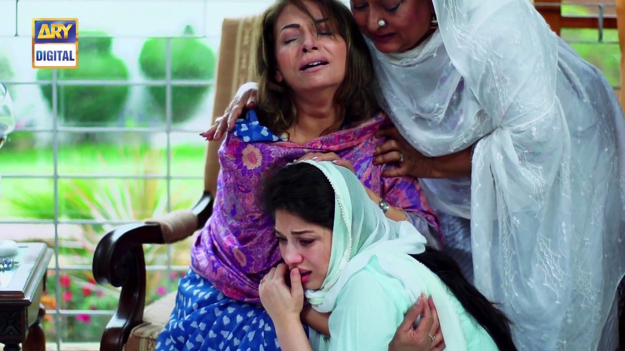 Watch Mein Mehru Hoon Episode 124 - on Ary Digital in High Quality 17th January 2017