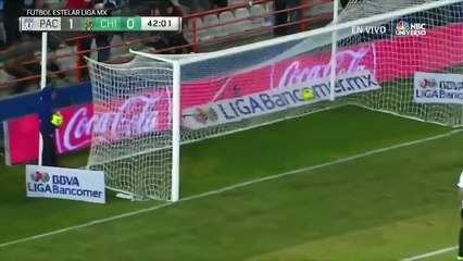 Un chien et un chat arrêtent un match de foot au Mexique