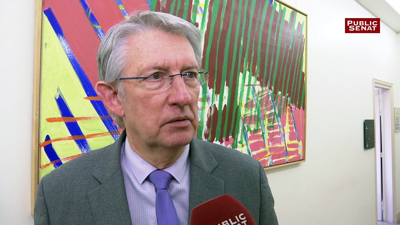 Brexit : "La Grande-Bretagne ne peut pas avoir le beurre et l'argent du beurre" selon le sénateur Yannick Vaugrenard