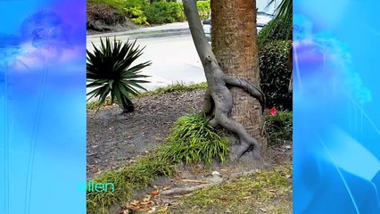 Some Photos Just Aren t Right!