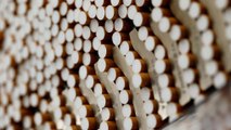 British American Tobacco to merge with Reynolds