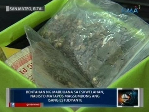 Saksi: Saksi: Bentahan ng marijuana sa isang paaralan, nabisto