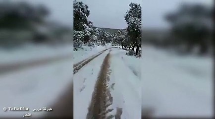 و كأنك في احدى المدن الأوروبية..الثلوج تزين منطقة عين سلطان بغار الدماء