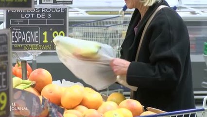 Commerce : Fin des sacs en plastique à usage unique (Vendée)