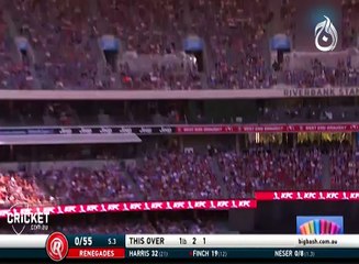 Amazing Catch in Big Bash League finals
