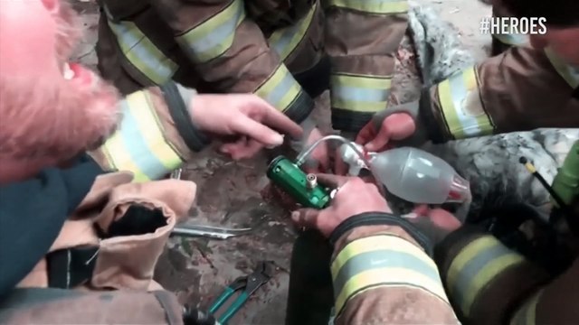 ¡Héroes sin capa! Bomberos reaniman con oxígeno a un perro tras rescatarlo de un incendio