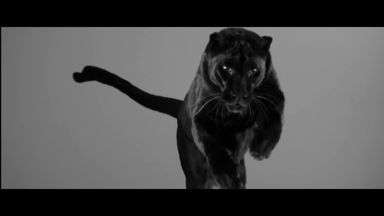 ESTRADARADA - Вите Надо Выйти (Official Music Video)