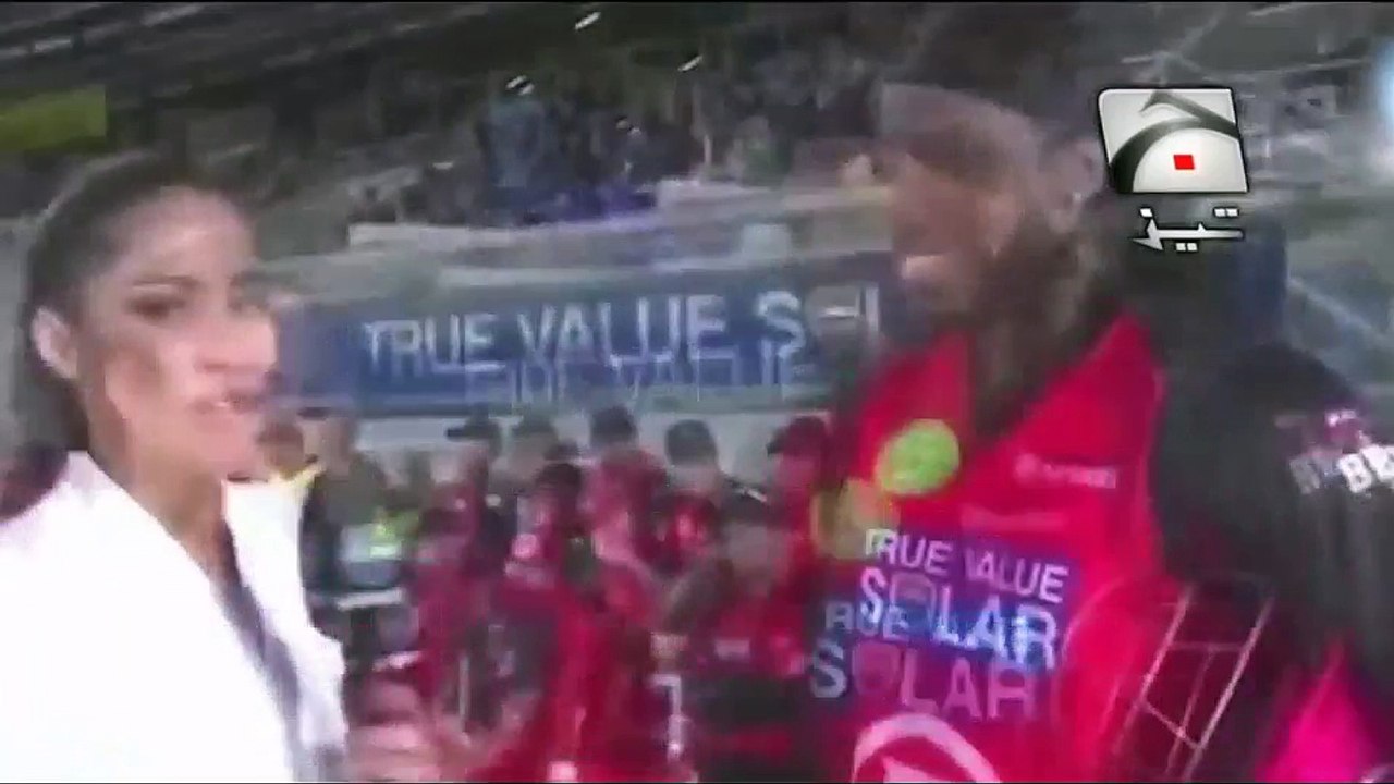 punjabi totay