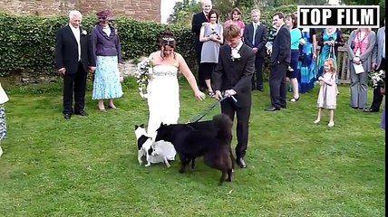 People Doing Stupid Things - Funny videos Fails 2017