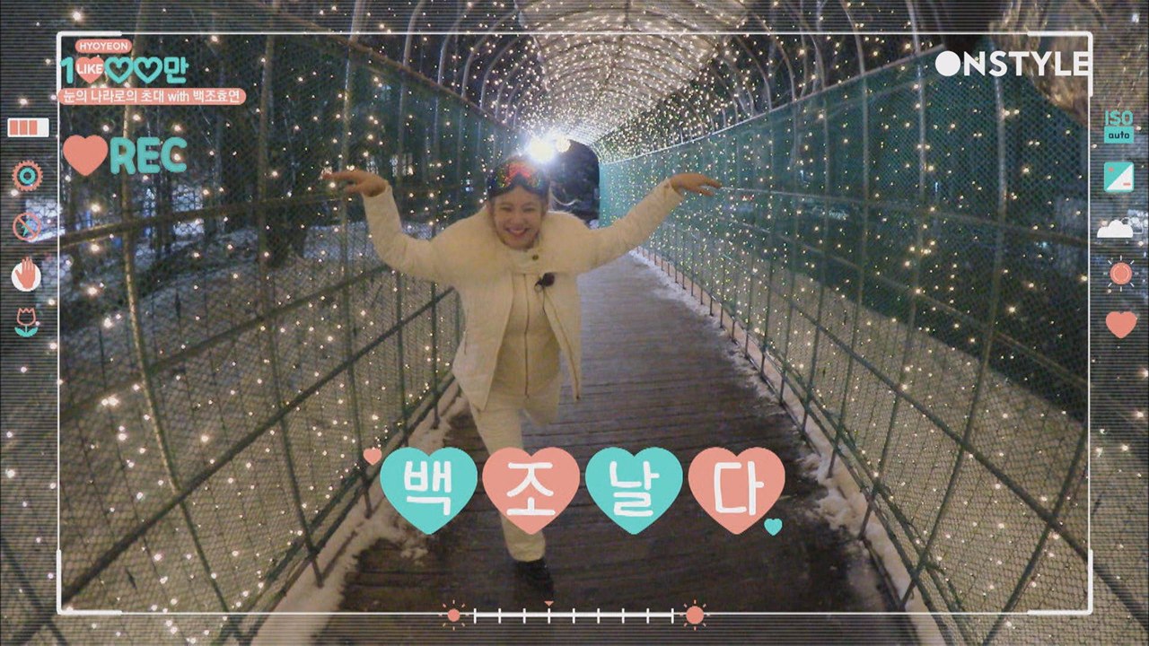 새하얀 평창에 앉은 HYO 백조 한마리