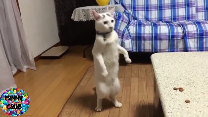 ESSAYEZ DE NE PAS RIRE #1 ! - Vidéo Drôle de - vidéos les plus drôles