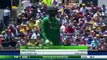 Pakistani ining ki wickets girnay ki highlights