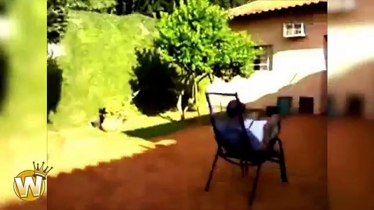 Funny Pranks 2016