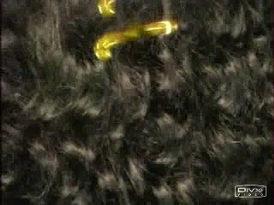 PUB DESSANGE paris SUBLIM'ARGAN HUILE D 'ARGAN PUB 2007