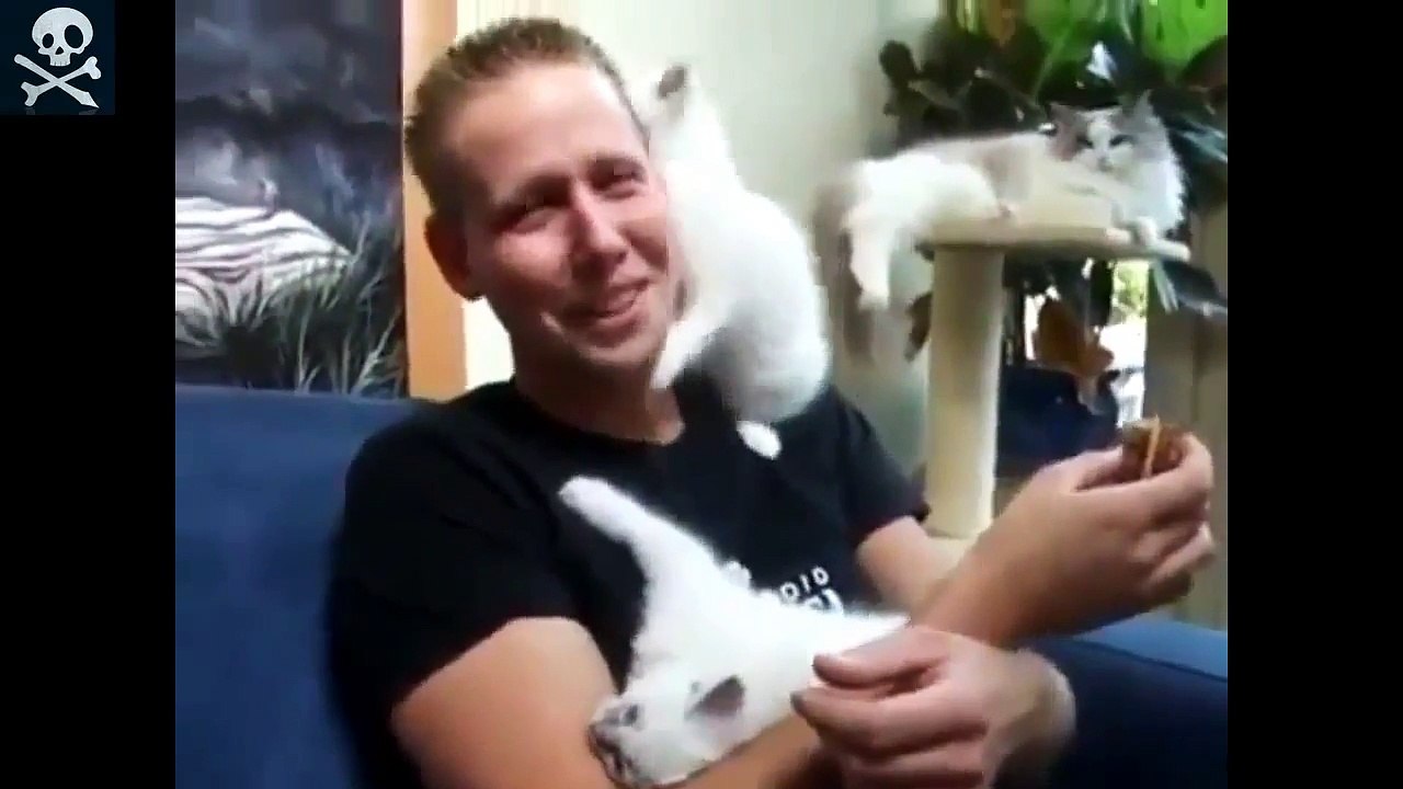 Приколы с кошками 4 !!