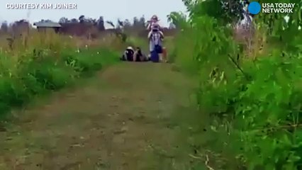 Un alligator monstrueux filmé en Floride