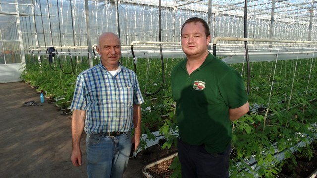 Bio kwekerij Poldervaart - kijkje achter de schermen / Vierpolders 2017