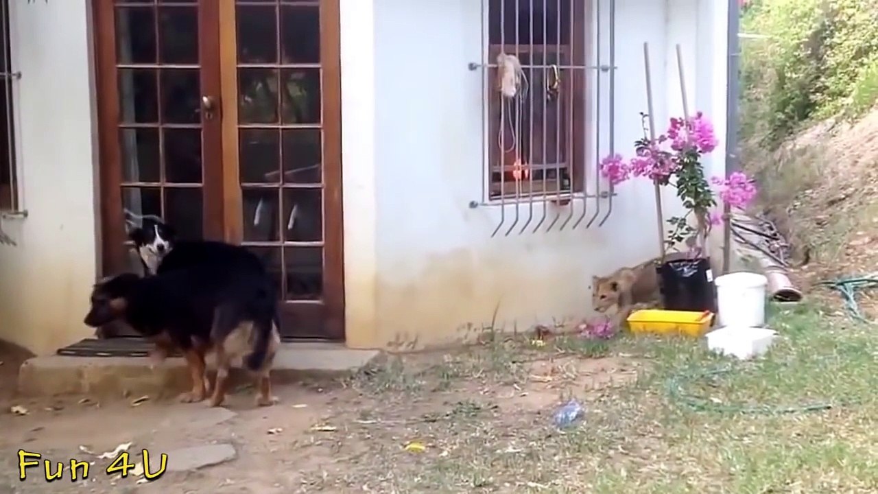 Best Instant Karma | Stupid People Doing Stupid Things Win|Fail 2016 #6