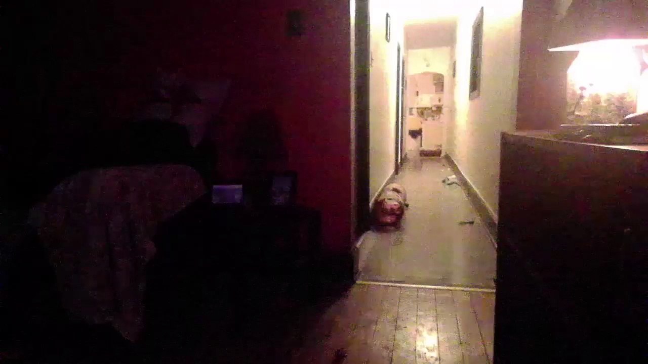 Cat cam returns! (38)
