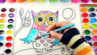 Owl Coloring Page for Kids to Learn to Color and Paint