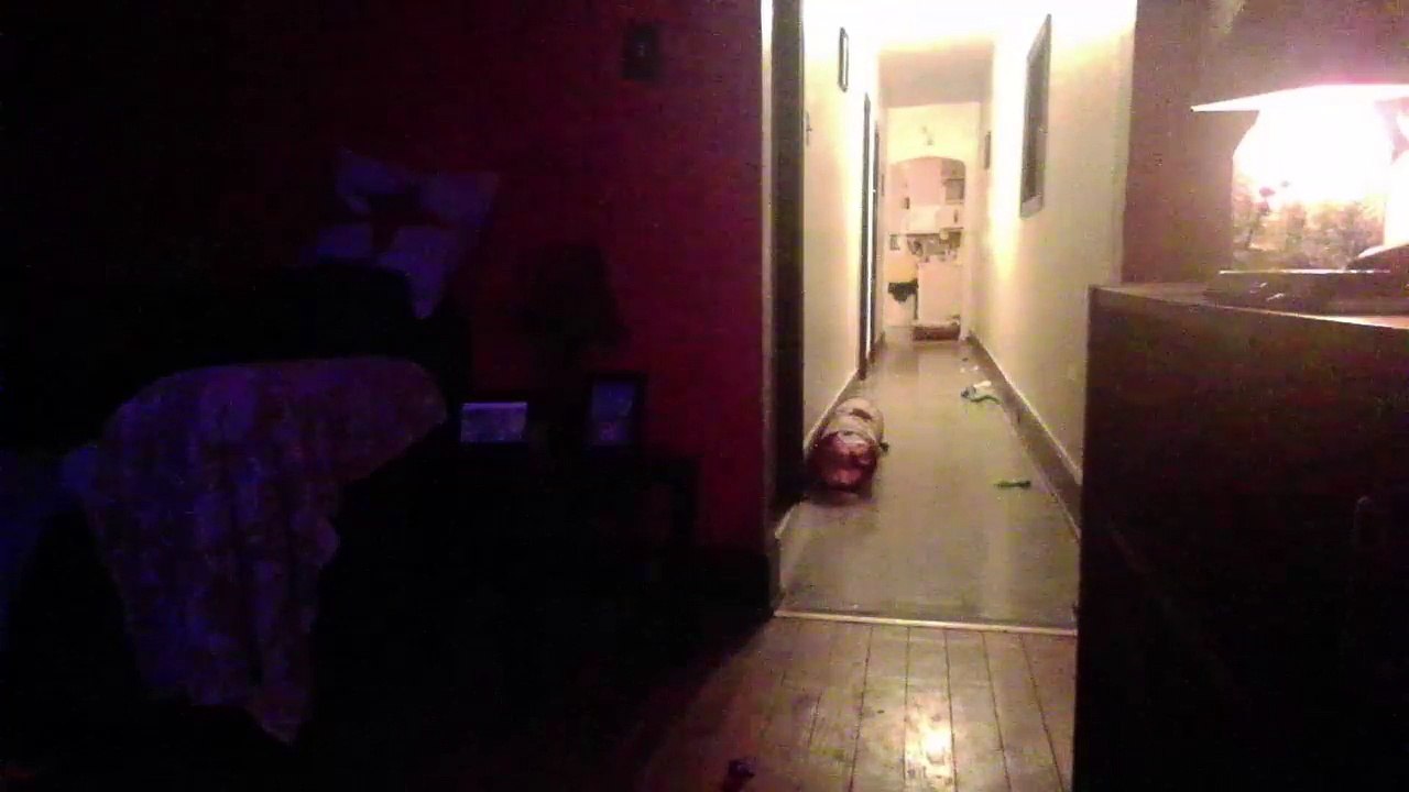 Cat cam returns! (41)