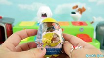 Learn Colors with Paw Patrol Pop-Up Pups Surprise Toys, PJ Masks, Kinder Eggs, Glitzi Globes