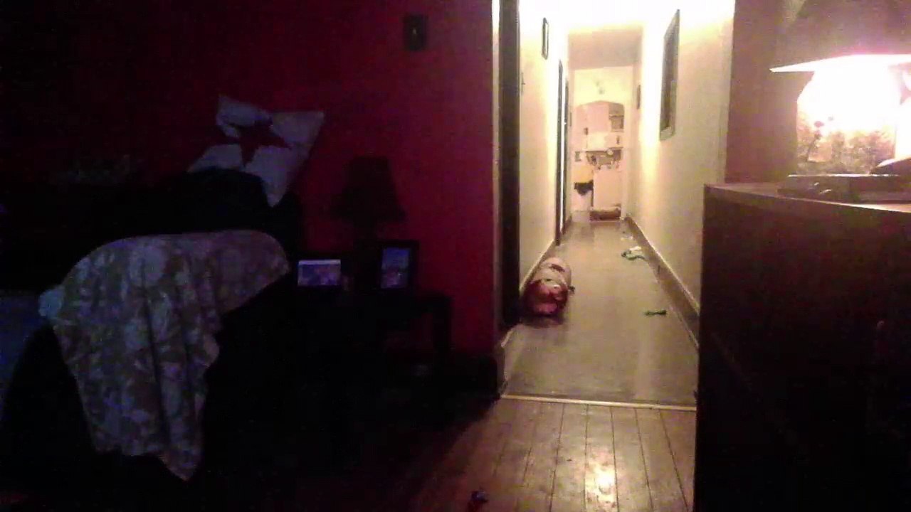 Cat cam returns! (43)