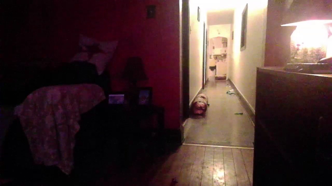 Cat cam returns! (45)