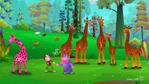 Finger Family Giraffe | ChuChu TV Animal Finger Family Nursery Rhymes Songs For Children
