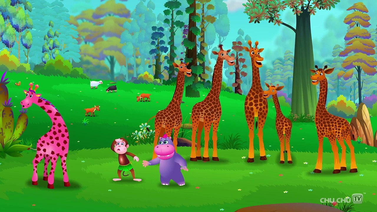 Finger Family Giraffe | ChuChu TV Animal Finger Family Nursery Rhymes Songs For Children