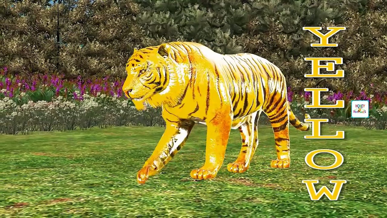 3D Animals Finger Family Short Movie for Kids | Wild Animals King Lion Gorilla Tiger Bear