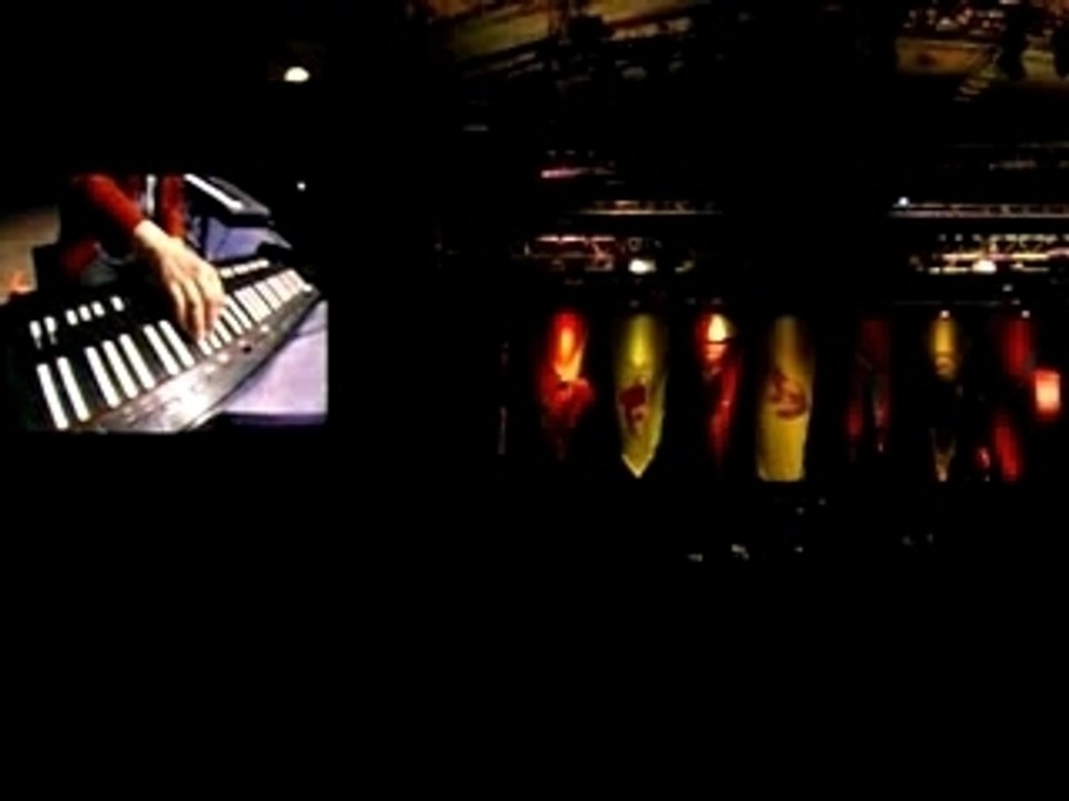 Björk:The pleasure is all mine live at Rock en Seine