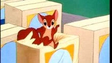 The-Flying-Squirrel