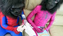 Spiderman vs Joker vs Pink Spidergirl Frozen Elsa - Spiderman Turns Into A Monster! - Fun Superhero