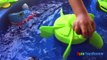 Disney Pixar Finding Dory Swim & Water Table Step 2 Nemo Water Toys for kids Thomas and Friends