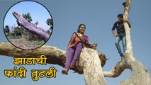 Sairat's Iconic Tree No More | Blockbuster Marathi Movie | Rinku Rajguru, Akash Thosar