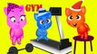 Finger Family Funny Cats - Funny Cats Goes to Gym Finger Family Rhyme For Kids