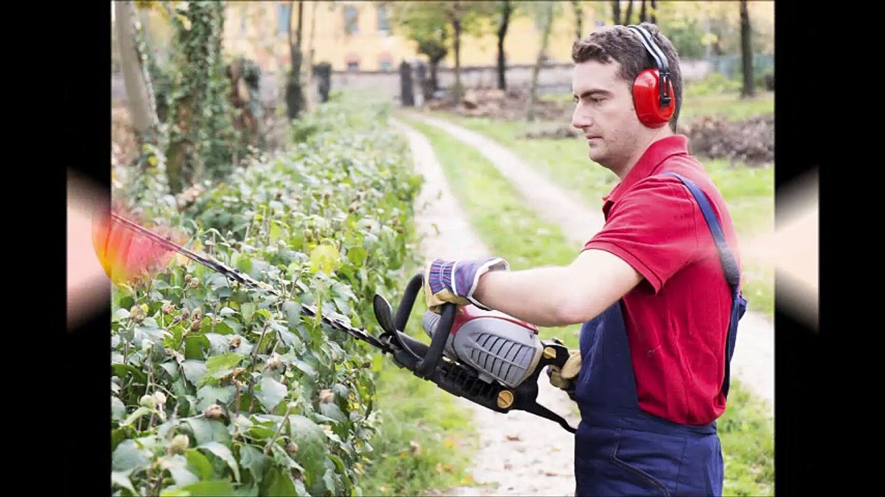 All in One Building and Yard Maintenance - (352) 575-7539