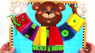 Best Learning Video for Kids- Teddy Bear Puzzle Teaches Kids Zippers, Buttons, Belts, and Colors!