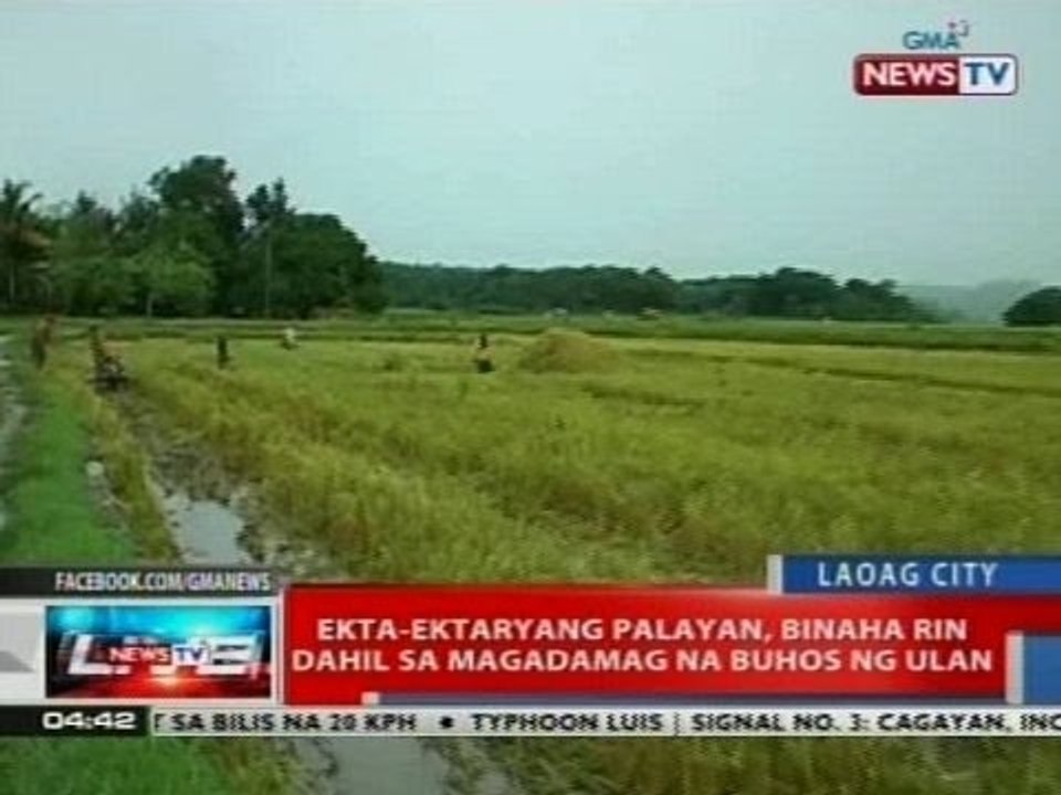 NTVL: Ekta-ektaryang palayan, binaha dahil sa magdamag na buhos ng ulan