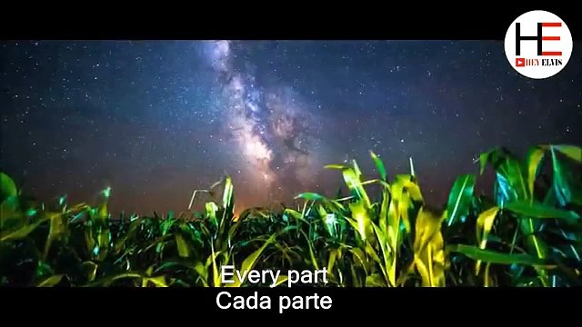 Lady Gaga - Joanne (Lyrics Video) (Sub Español)